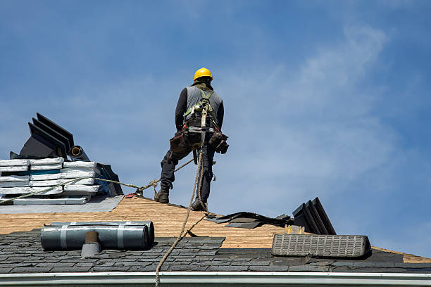Professional Roof Repair technician working in Caldwell, OH